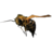 SR-icon-ingredient-Bee.png